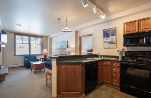 Winter Park Apartment | Zephyr Mountain Lodge Condo with views of Arapahoe National Forest condo