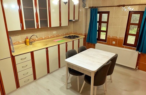 Uzungol Apartment | Zeren Apart 2 Centrum