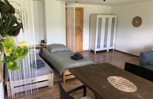 Stara Kamienica Apartment | Zielony Domek