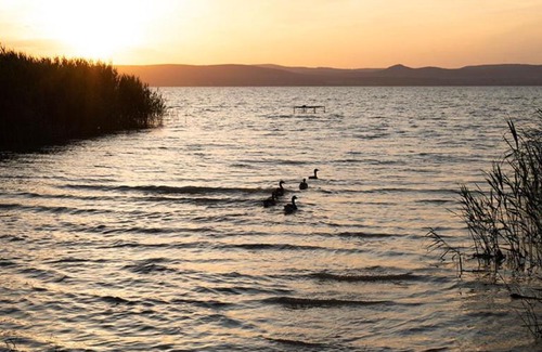 Balatonszemes Apartment | Zier Bisztró & Apartman