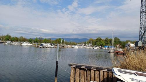 Fußach Apartment | Zimmer am See