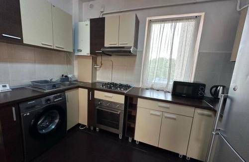 Suceava Apartment | Zlata Nordic 5H Apart
