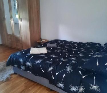 Mladenovac Apartment | Zmaj LUX