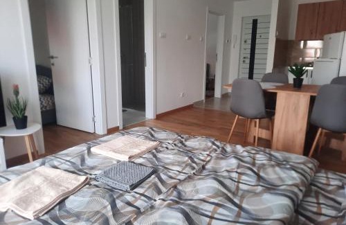 Mladenovac Apartment | Zmaj LUX