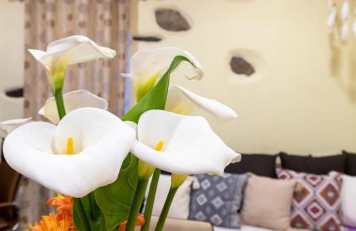 Kantanos-Selino Apartment | Zois Stone House