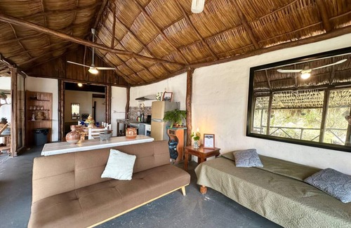 North Hotel Zone Hotel | Zona Romantica Monyxbnb