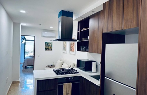 Emiliano Zapata Apartment | Zona Romantica