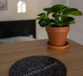 Zoutelande Apartment | Zonnelande - comfort studio