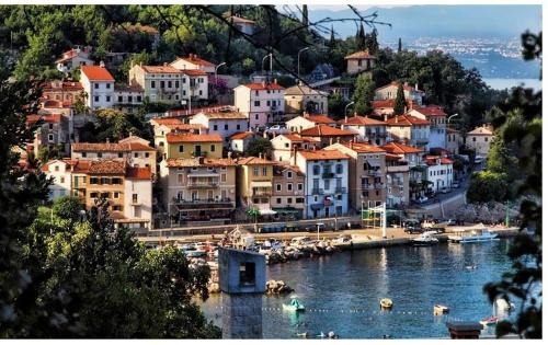 Sucici Apartment | Zonnemarie