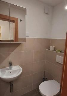 Biberwier Apartment | Zugspitz - Apartment