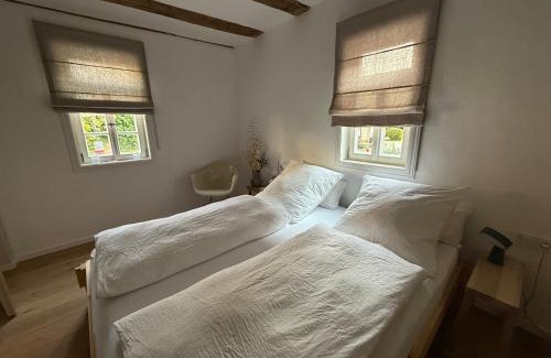 Erbach Apartment | Zur Traube - grün