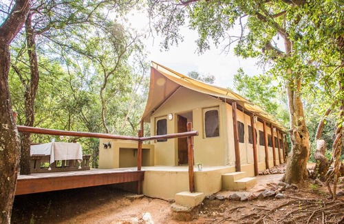 Bela-Bela Other | Zwartkloof Adventures Tented Camp