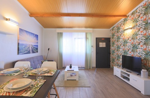 Ribeira Grande Other | Parrots Village
