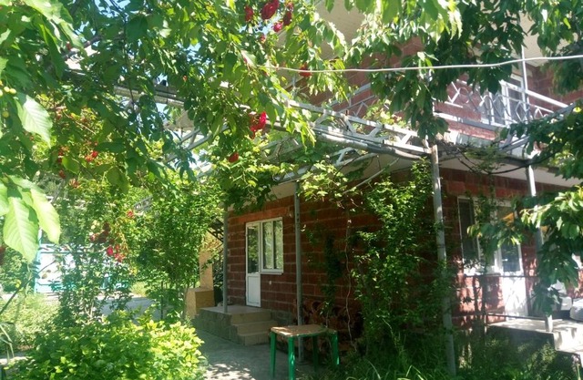 Вино кино