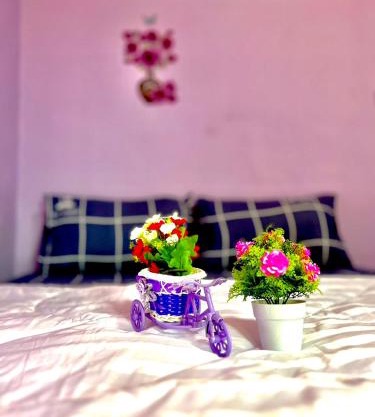 ลูกดกแน่โฮมสเตย์ ที่พักเกาะลิบง