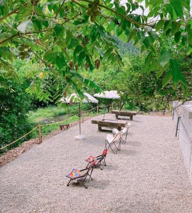 川辺-kawabe 悠- 川遊び-BBQ
