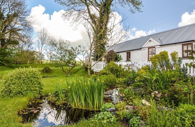 1 bedroom accommodation in Cribyn