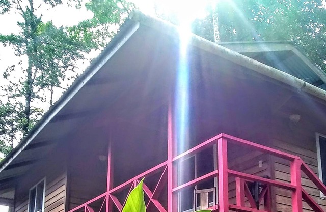 1 Bedroom Jungle Villa