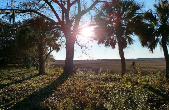 16 Lighthouse Lane, Bennett's Point, SC, Amazing Sunsets