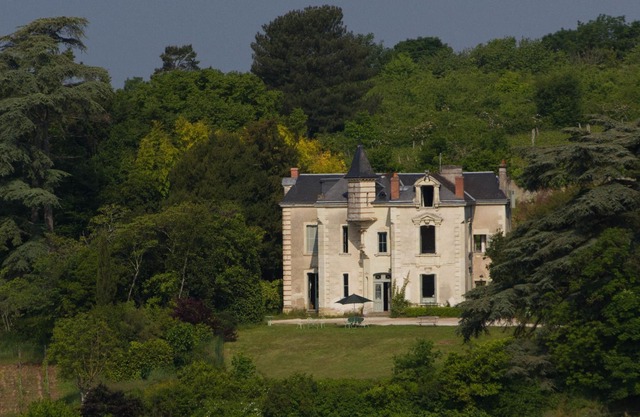 19th Century Manor House Set in a Working Organic Vineyard