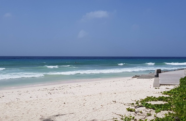 2 minute Walk to Beach, Newly Renovated, 2 Bedroom 2 Bathroom Apartment #1