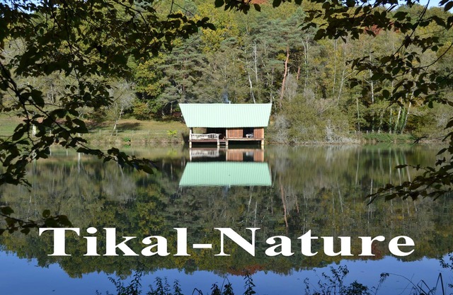 2-person lodge rental