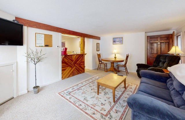 2-story riverfront apt with mountain views, firepit, 2 canoes, hammock, & AC