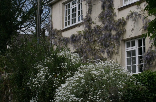 3-bed luxury cottage in unspoilt Tarka & War Horse country. Near RHS Rosemoor