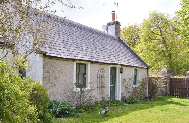 3 bedroom accommodation in Banff