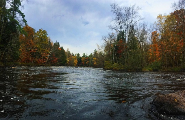 3 bedroom cabin with private access to 2000 feet of river frontage