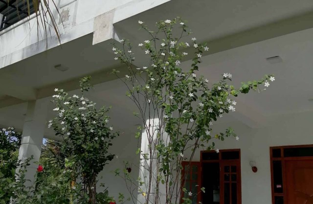 3-bedroom villa within 12-minute drive to Bandaranike Airport.