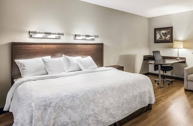 3 Budget-Friendly Units! Pet-Friendly Property, Minutes to Medford Square!
