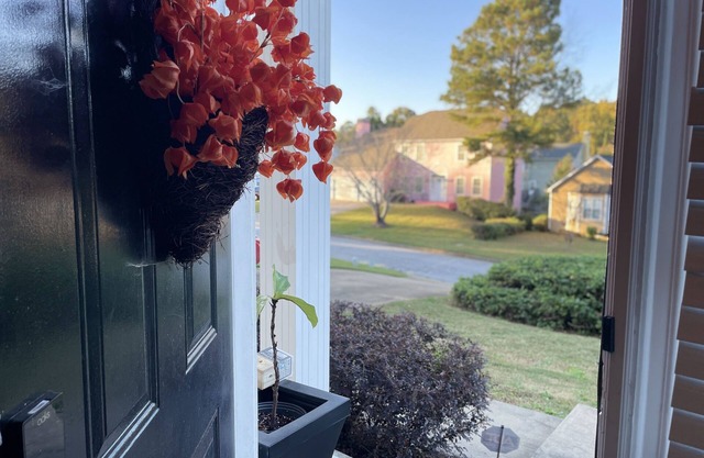 4 Bed 2.5 Bath Very Cozy Home with Outdoor Deck