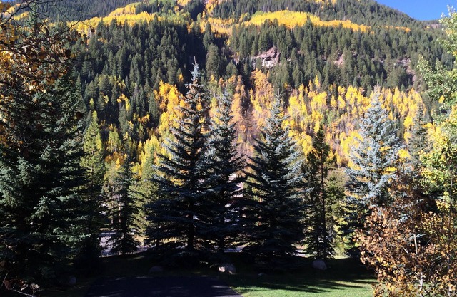 4 Bedroom 4 1/2 Bath Single Family Home/East Vail.