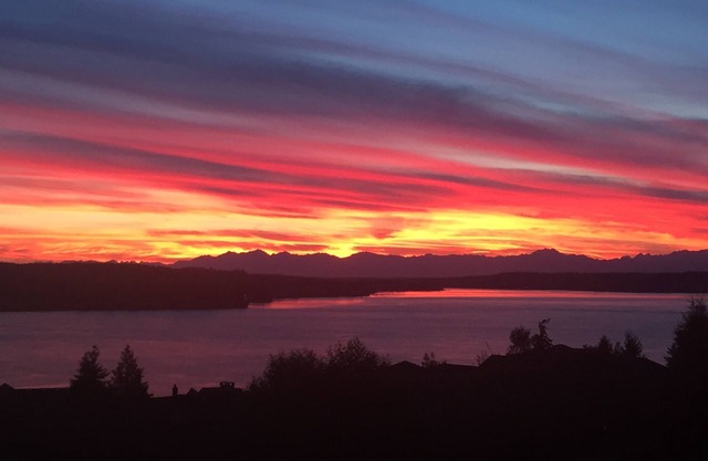5br Sweeping View Of Puget Sound & Olympics; Under 1 Mile Chambers 2015 US Open