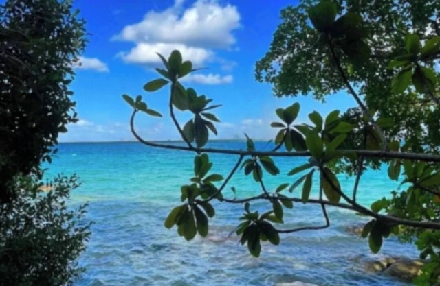 7 CIELOS BACALAR