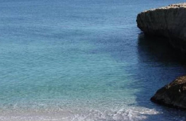 7-person independent holiday home with garden