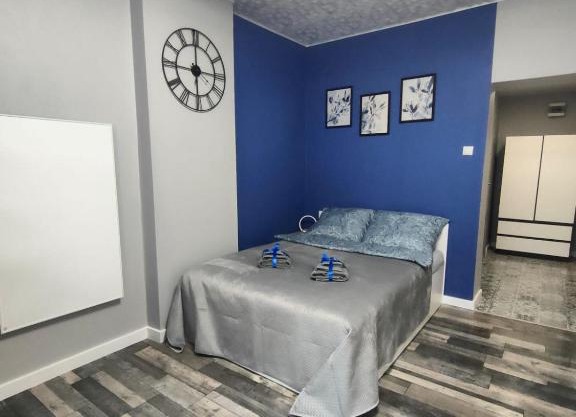 721 Slate Apartament Jedlina-Zdrój