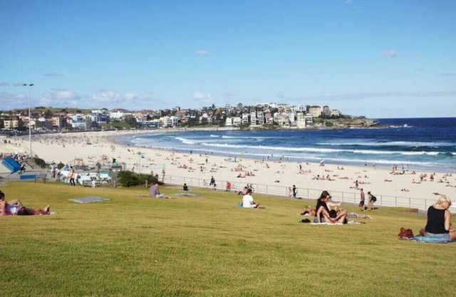 8) Your own apartment in centre of Bondi Junction