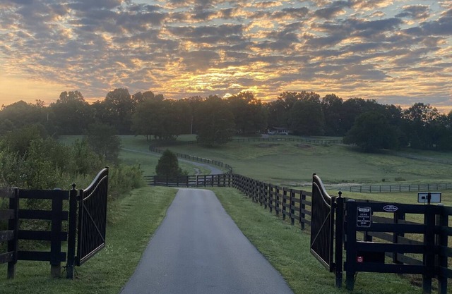 80 acre Kentucky Horse Farm 6BR/4BA 30 mins. to Derby 10 mins. to PGA.