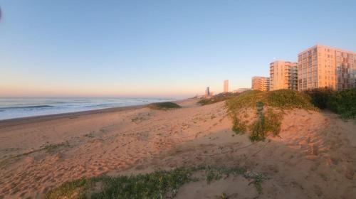 802 Dromedaris On The Beach