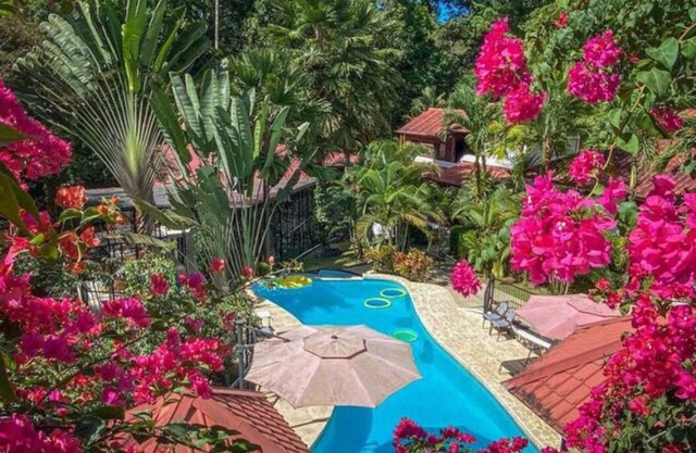A boutique jungle oasis! Spacious villa with resort amenities.