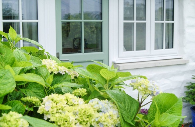 A cosy & bright cottage in the heart of St Dogmaels, Pembrokeshire