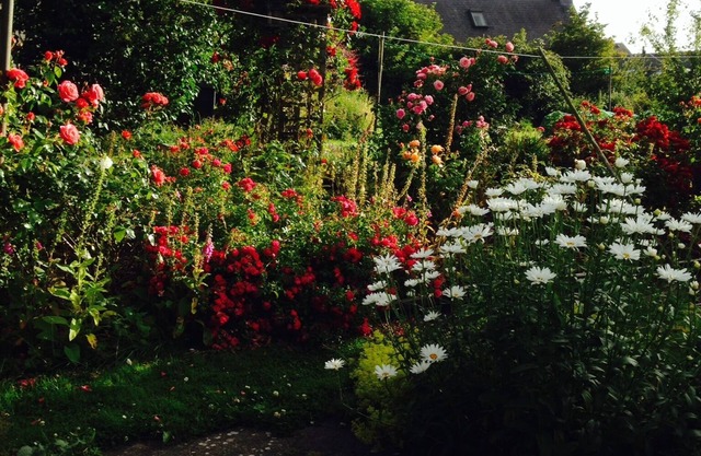 A cosy holiday cottage in Morebattle, near Kelso.