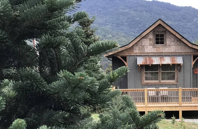 A hand-crafted cabin built in the middle of a Christmas Tree farm.