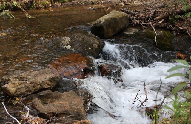 A Hiker's Paradise Private Cabin on Small, Rushing Stream Near A/T-
