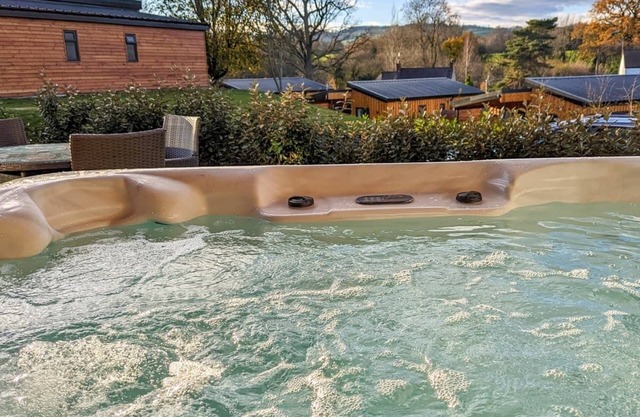 A magnificent bespoke lodge perfect for a family escape with pets.