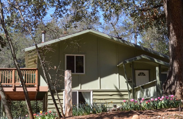 A Secluded Cabin on an Acre of Woods-Julian Mountain Haven