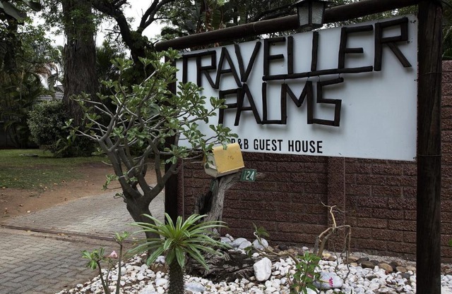 A Traveller's Palm