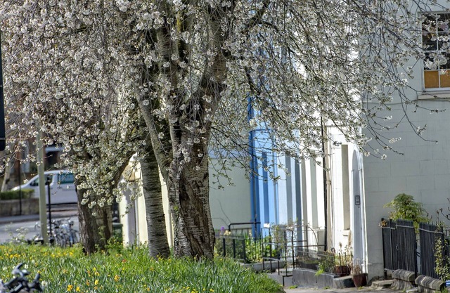 A very British house to stay 3 Bedroom